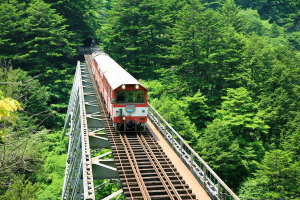 【近鉄京都駅発】 《近鉄特急ひのとり利用》連休出発!富士山眺望絶品旅・~大井川鐵道秘境駅と富士山麓ローカル鉄道『岳南電車』2日間3
